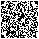 QR code with Badger Daylighting Corp contacts