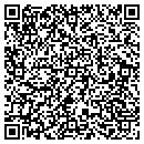 QR code with Clevergreen Cleaners contacts