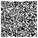 QR code with Professional Finishes contacts