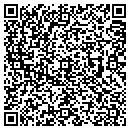 QR code with Pq Interiors contacts