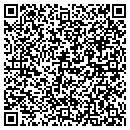 QR code with County Cleaners LLC contacts