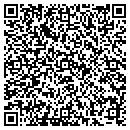 QR code with Cleaners Pauls contacts