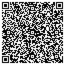 QR code with Premier Cleaners contacts