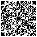 QR code with Chamberlain Ssw Farm contacts