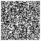 QR code with Professional Dry Cleaners contacts