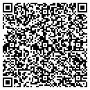 QR code with Conceptual Designs Inc contacts