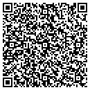 QR code with Colours Interiors Inc contacts