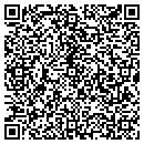 QR code with Princess Interiors contacts