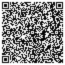 QR code with Blue Dolphin Pools contacts