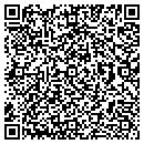 QR code with Ppsco Direct contacts