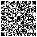 QR code with Pubs Group The contacts