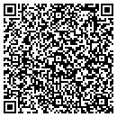 QR code with Precise Air Systems contacts