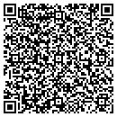 QR code with Chicago Rail Link LLC contacts