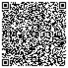 QR code with Badger Daylighting Corp contacts