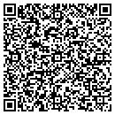 QR code with Public Serv Co Of Nh contacts