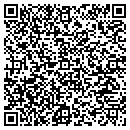 QR code with Public Service Of Nh contacts