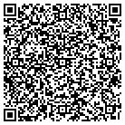 QR code with Pulse Contract Mfg contacts
