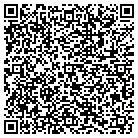 QR code with Professional Detailing contacts