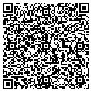 QR code with Project Arena contacts