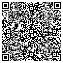 QR code with Christine Grey Pha Cph contacts