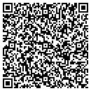 QR code with Pristine Detailing LLC contacts