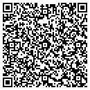 QR code with Colts Neck Interiors contacts