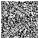QR code with Pro Shine Detailing contacts