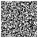 QR code with Cdi Business Solution contacts