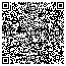 QR code with Chaney Auto Services contacts