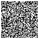 QR code with Purdy Mini Excavating contacts