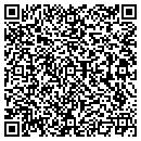 QR code with Pure Extasy Detailing contacts