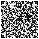 QR code with Pro Cleaners contacts