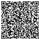 QR code with Premier Gutter Systems contacts