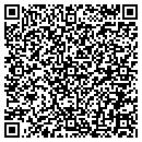 QR code with Precision Detailing contacts