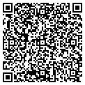 QR code with P Lowell Fox contacts