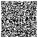 QR code with Premiere Designs contacts