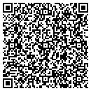 QR code with Carters Pool Service contacts