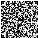 QR code with Put It All Together contacts