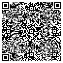QR code with Constant Flow Gutters contacts
