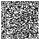 QR code with Steckel Auto contacts