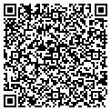 QR code with Lindex contacts