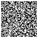 QR code with Professional Writers contacts