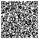 QR code with Pyramid Gutter Co contacts