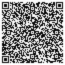 QR code with Premier Gutter contacts