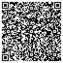 QR code with Castle Graphics Inc contacts