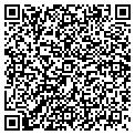 QR code with Levine & Sons contacts