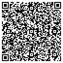 QR code with Pure Carpet Solutions contacts