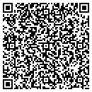 QR code with Carpet Gallery Inc contacts