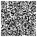 QR code with Tessolve Inc contacts