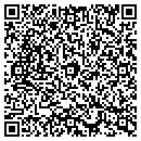 QR code with Carstensen Stefany R contacts